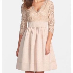 Eliza J Lace & Faille Party Dress Champagne Size4